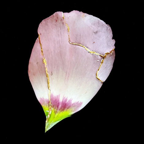 Repair Series (Kintsugi - Flower Petal and Gold -close-up)