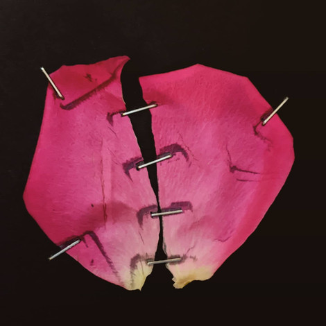 Repair Series (Rose Petal and Staples)