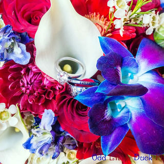 Engagement/Weddings