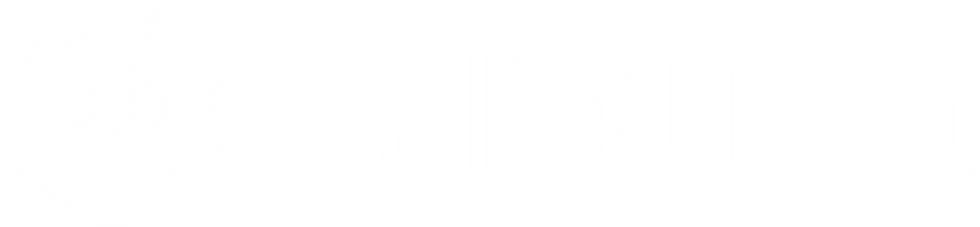Logo com desenho de coruja e o nome Lii Bueno