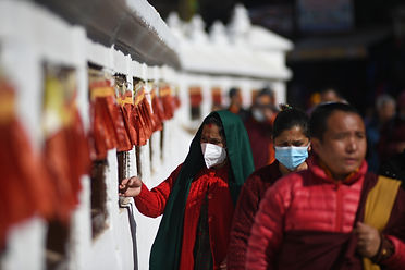 Copy of DSC_7444.JPG