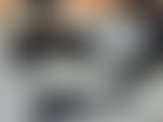 фотография процесса 3D-сканирования растения в горшке