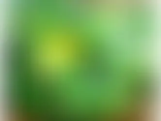 Огуречная инфляция в начале февраля 2026 года