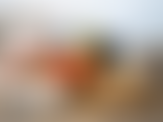 Яйца, картофель и овощи рядом с бытовыми товарами на фоне пляжа и самолёта, создавая образ роста цен и спроса на отдых.