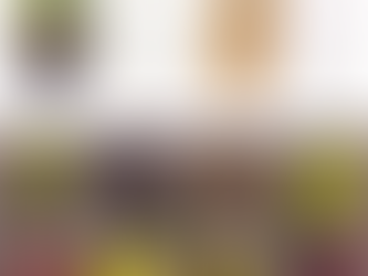 Изображение сортов оливы