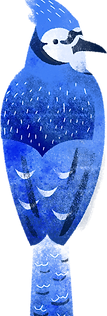 oiseau
