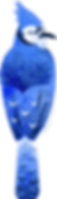 ree