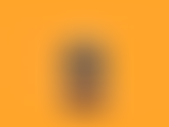 Wild Dark Shore - a family on a remote island faces climate change and danger.