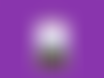 The Audrey Hepburn Estate - a woman seeks to save her childhood home on Long Island.