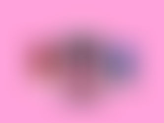 The Perfumist of Paris - a wonderful conclusion to Alka Joshi's The Jaipur Trilogy.