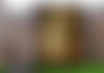 The It Girl - Ruth Ware's new dual timeline mystery thriller delivers.