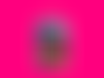 The Spectacular - a sensational historical fiction set in NYC's Radio City Music Hall.