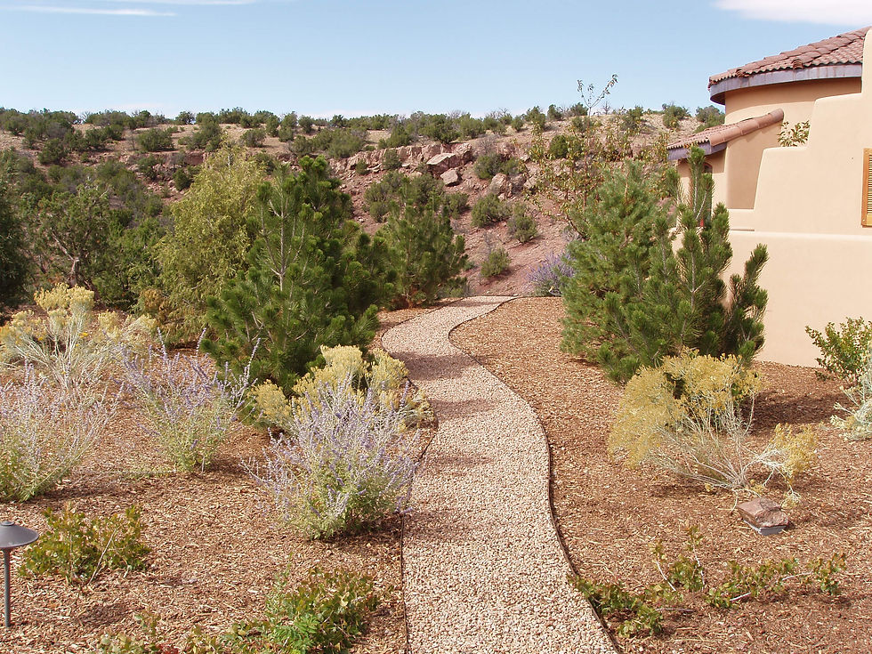 steel edging, walkway, pathway