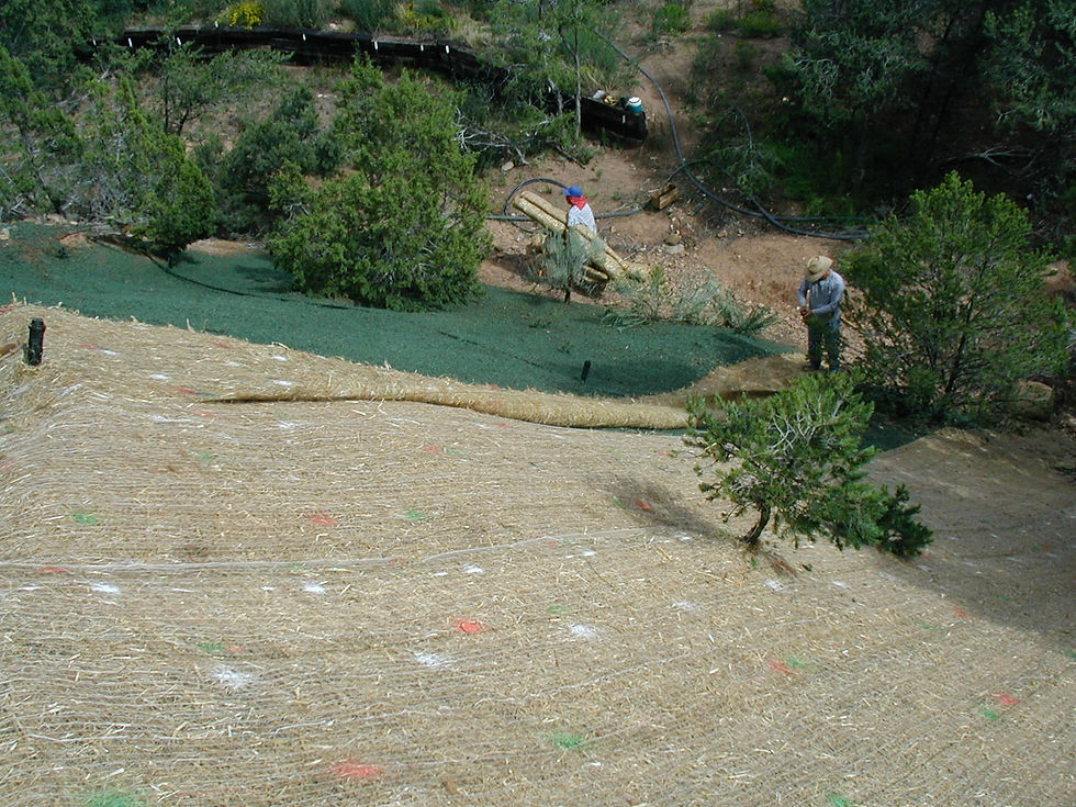 protection, blanket, germination