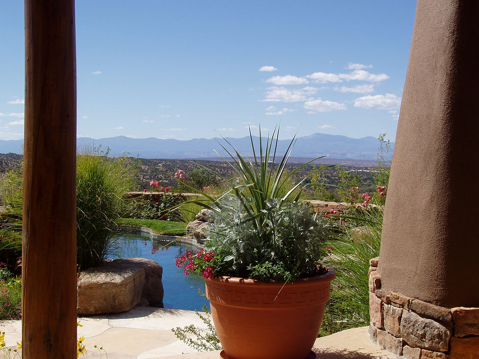 yucca, pond, water, scenic