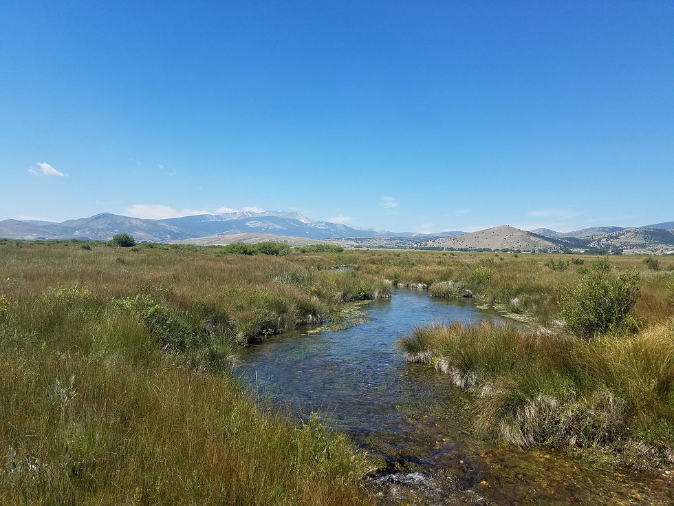 Atlantic Richfield | From Superfund to Super Habitat