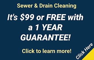 It's $99 or FREE with a 1 YEAR GUARANTEE!.png