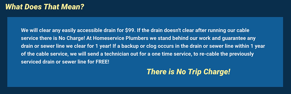 We will clear any eaily accessable drain for $99.png