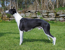 33232519_10212354282038111_3253711930317