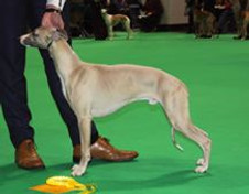 91620419_10163383544145595_7002970976723