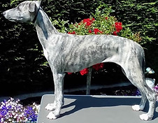 91803226_10163383544725595_1004588839034