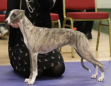 75354983_10157668101086399_4849869769198