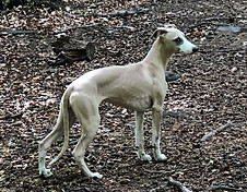 95659747_10163596749490595_9098248227794