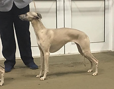 22090044_10159536850555595_8534065302589