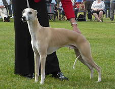 10694431_768709386500544_623849338678274