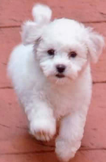 Screen Shot 2014-05-06 at 12.27.23 2.png