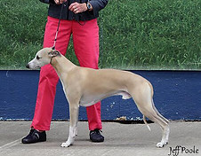 13427773_10157150322780595_1865902490303