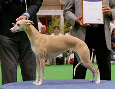 11136765_10203234289737462_7909961439342