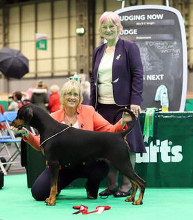 Patience at Crufts Lynne picture.jpg