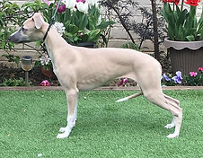 94475068_10163538969795595_9153662127775