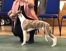 91513564_10163383544635595_8746531736722