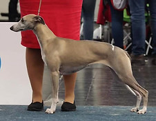 66000439_10162103879490595_1707012426555