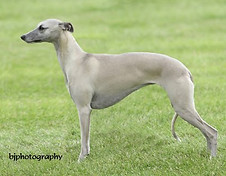 69643323_10162323354880595_1428159218141