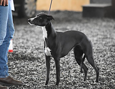 61254259_10214763956518467_8807006727380