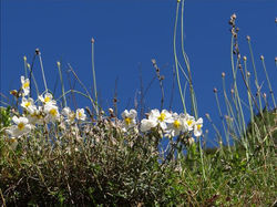 Les Hautes Pyrénées