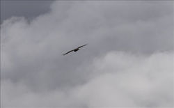 Les Hautes Pyrénées