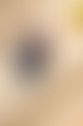 VALENCIA - DERNIER ROUND, 14° AU CLASSEMENT GÉNÉRAL ETC