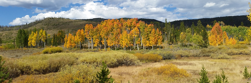 20140918_145926.jpg