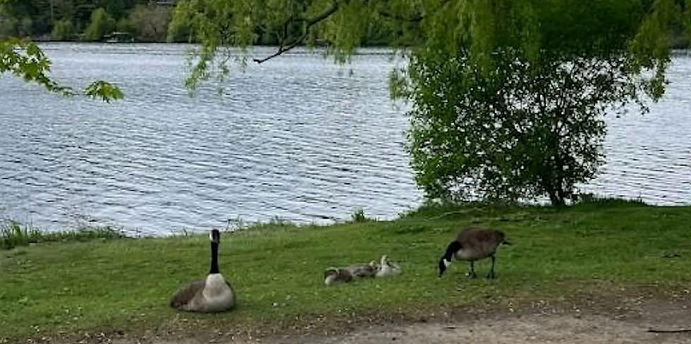 High Park To Long Branch Fast Hike