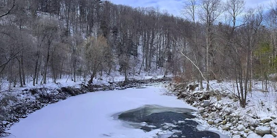 Morningside Winter Hike