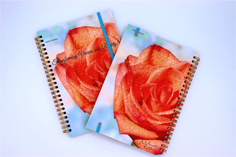 Transforming Visions into Reality Journal!