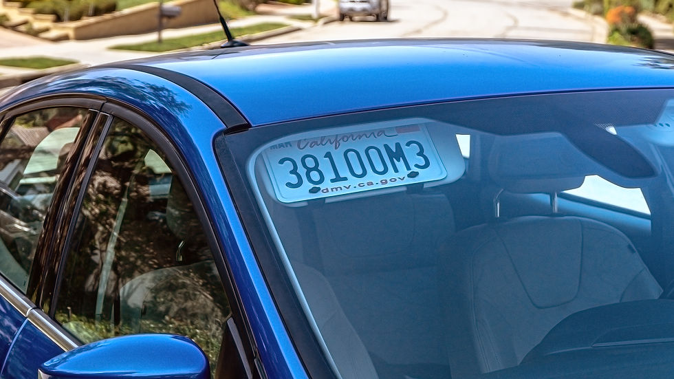 Sun Visor License Plate Mount (Universal Fit) brainexplodermerch