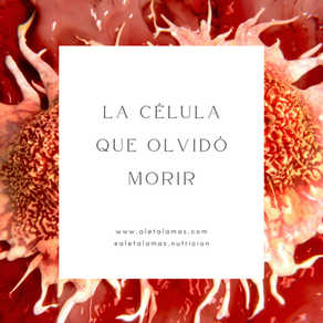 La célula que olvidó morir