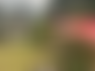 Está Carbón Restaurant: fire and altitude in the heart of the Ruta de los Naranjos