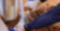 TSD Blog Photo (1).png