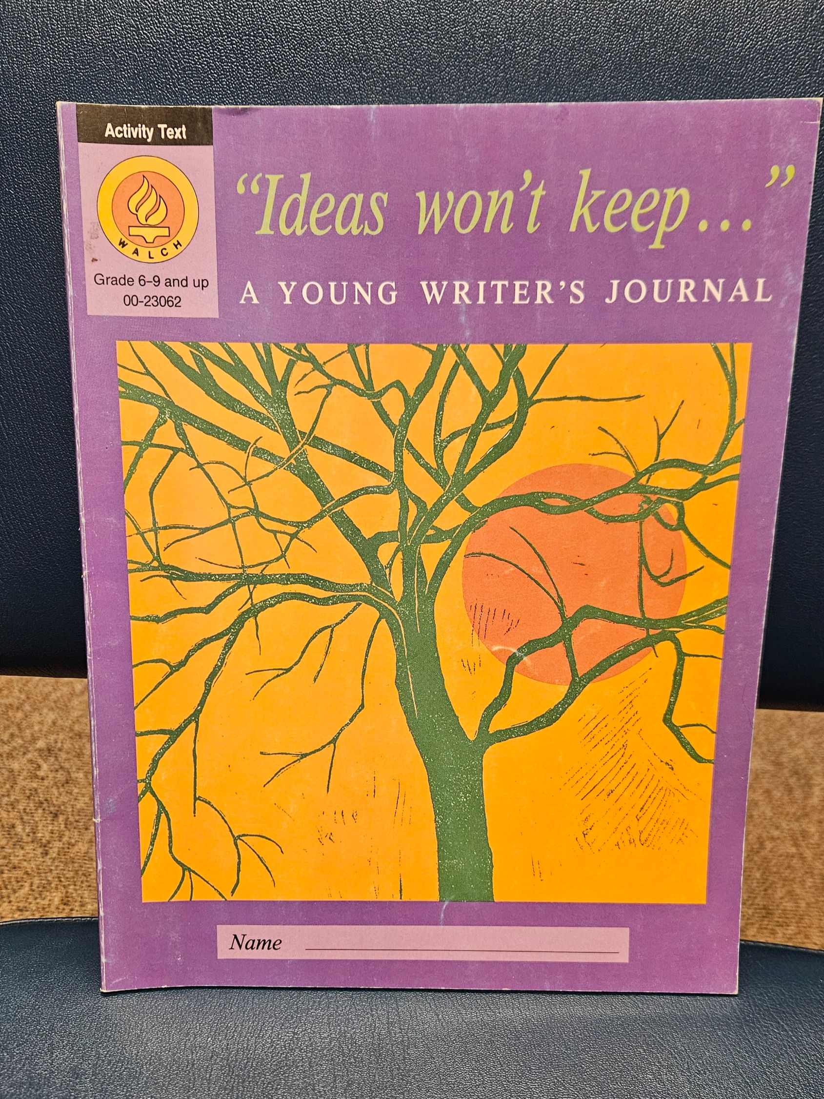 Idea's Won't  Keep...: A Young Writer's Journal